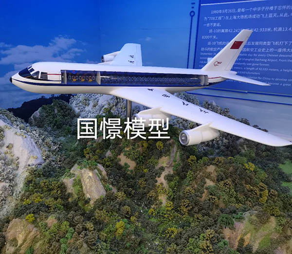 鸡泽县飞机模型